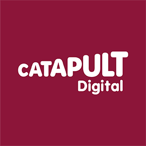 Digital Catapult Logo - Larger Image