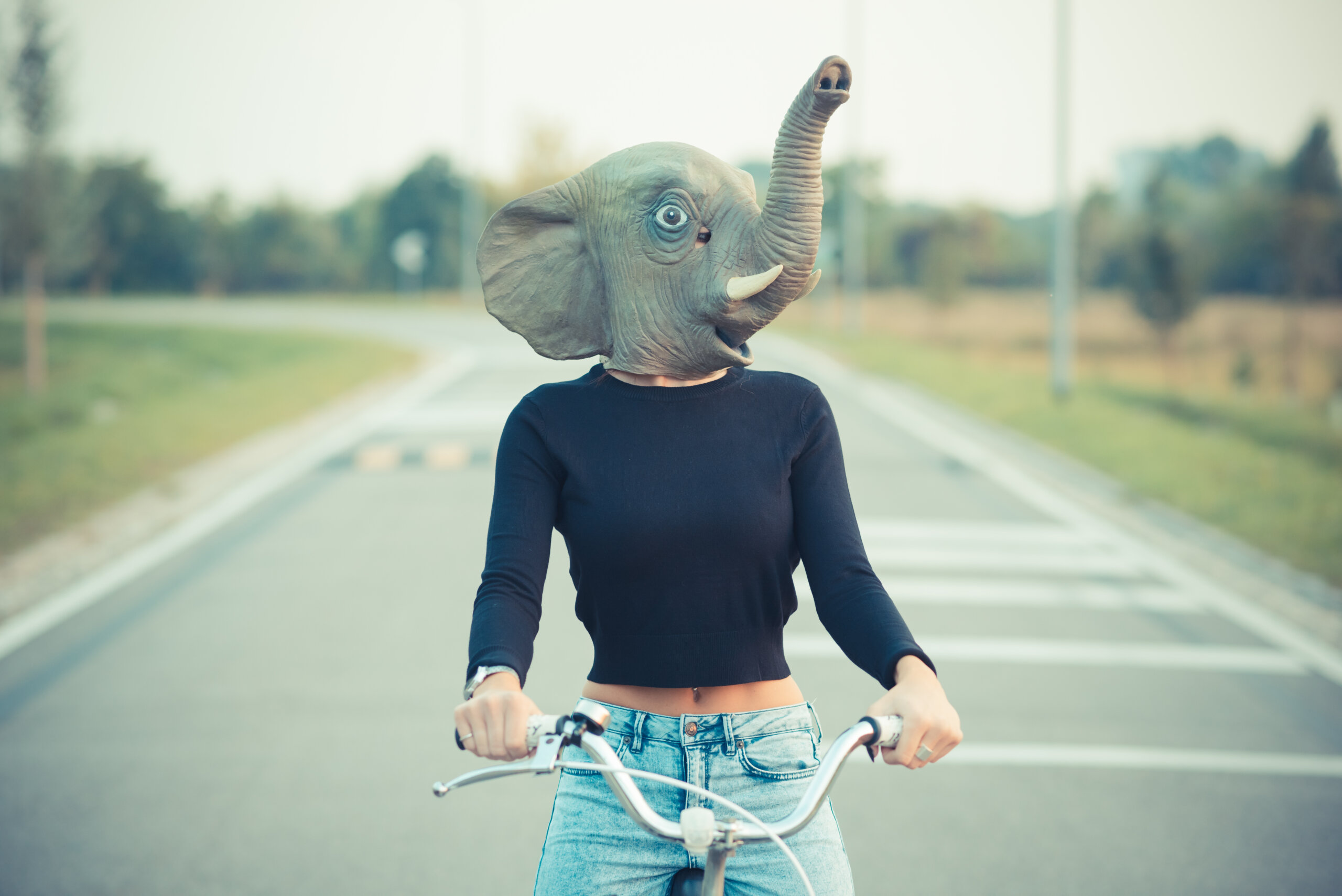 Present Like an Elephant: A Manager’s Guide to Commanding the Room